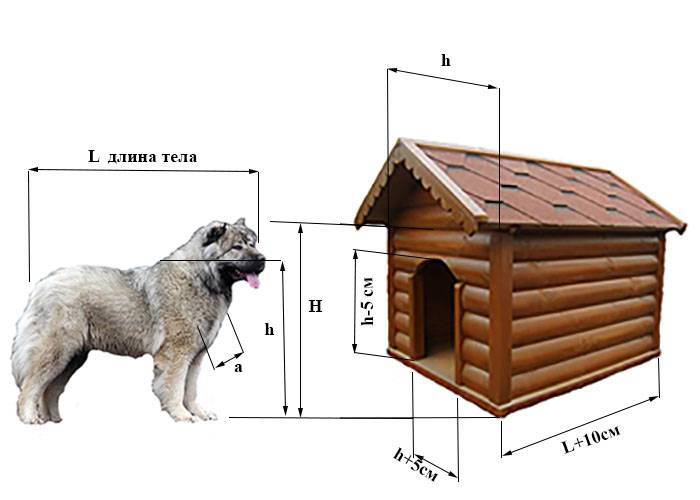 Будка для собаки своими руками: чертежи, размеры и фото