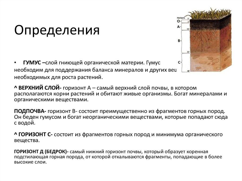 Виды и тип грунта для фундамента: как его определить, свойства и особенности почвы в строительстве