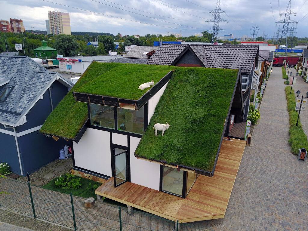 Озеленение крыш домов своими руками. способы озеленения крыши