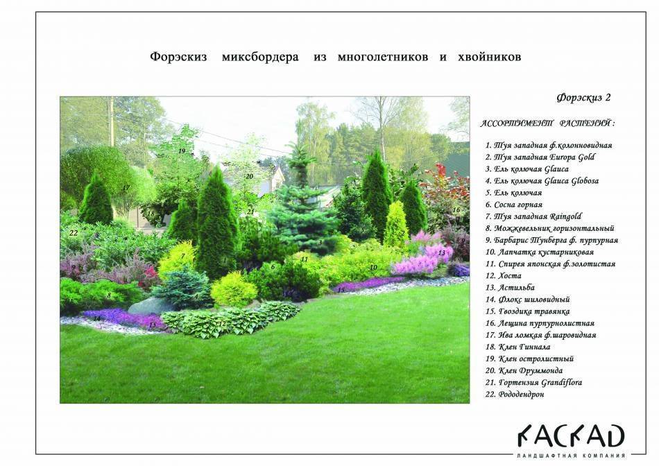 Миксбордер своими руками: схемы подбора растений, фото дизайна, советы по проектированию и посадке