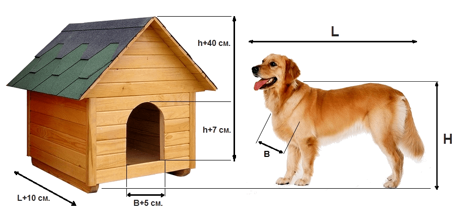 Будка для собаки своими руками - 95 фото, чертежей и эскизов будок