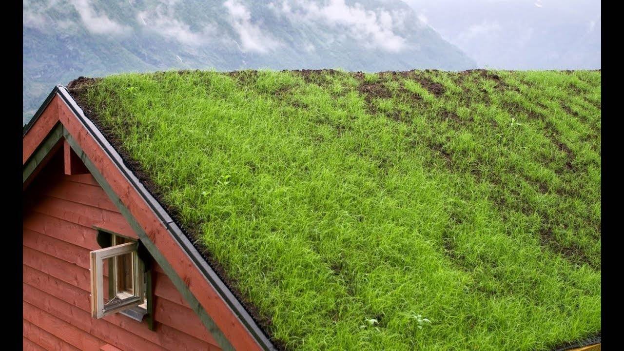 Зеленая крыша: как сделать стильную и актуальную эко-крышу своими руками