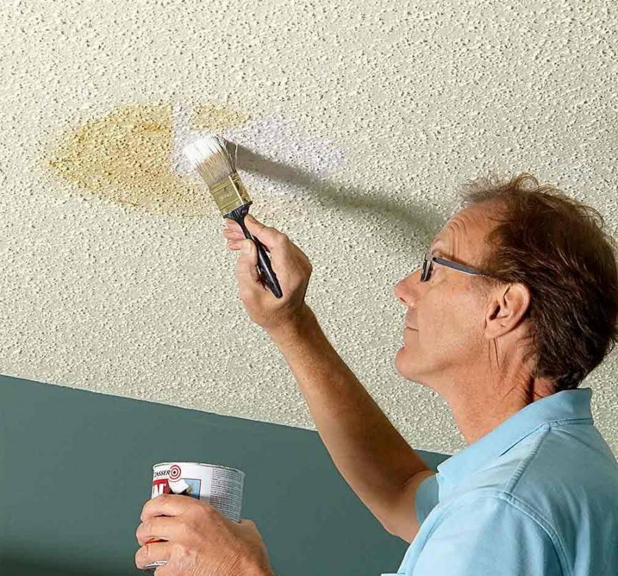 Нужно ли грунтовать потолок перед покраской: виды грунтовок, применение