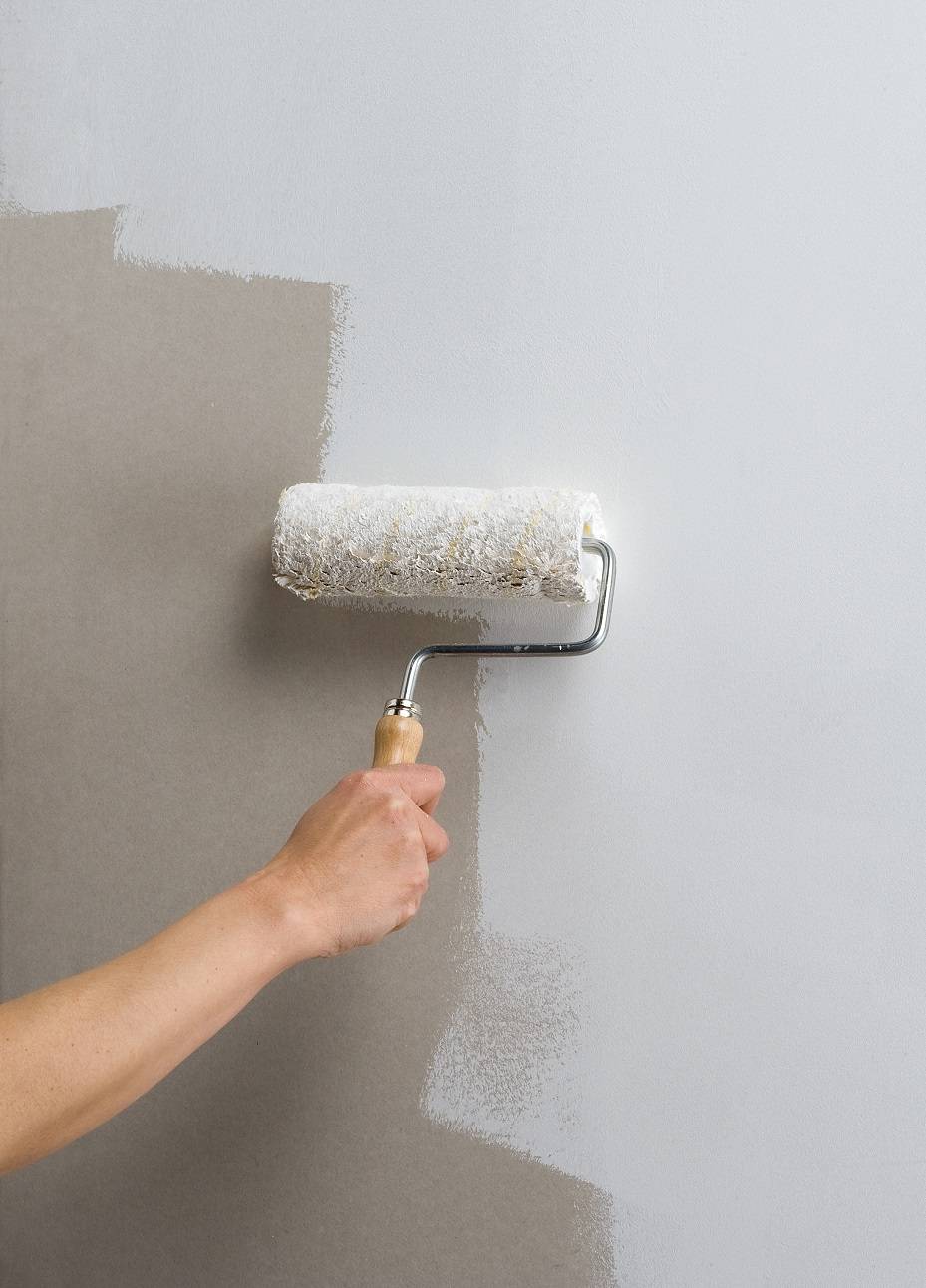 Надо ли грунтовать стены после шпаклевки | перед покраской
