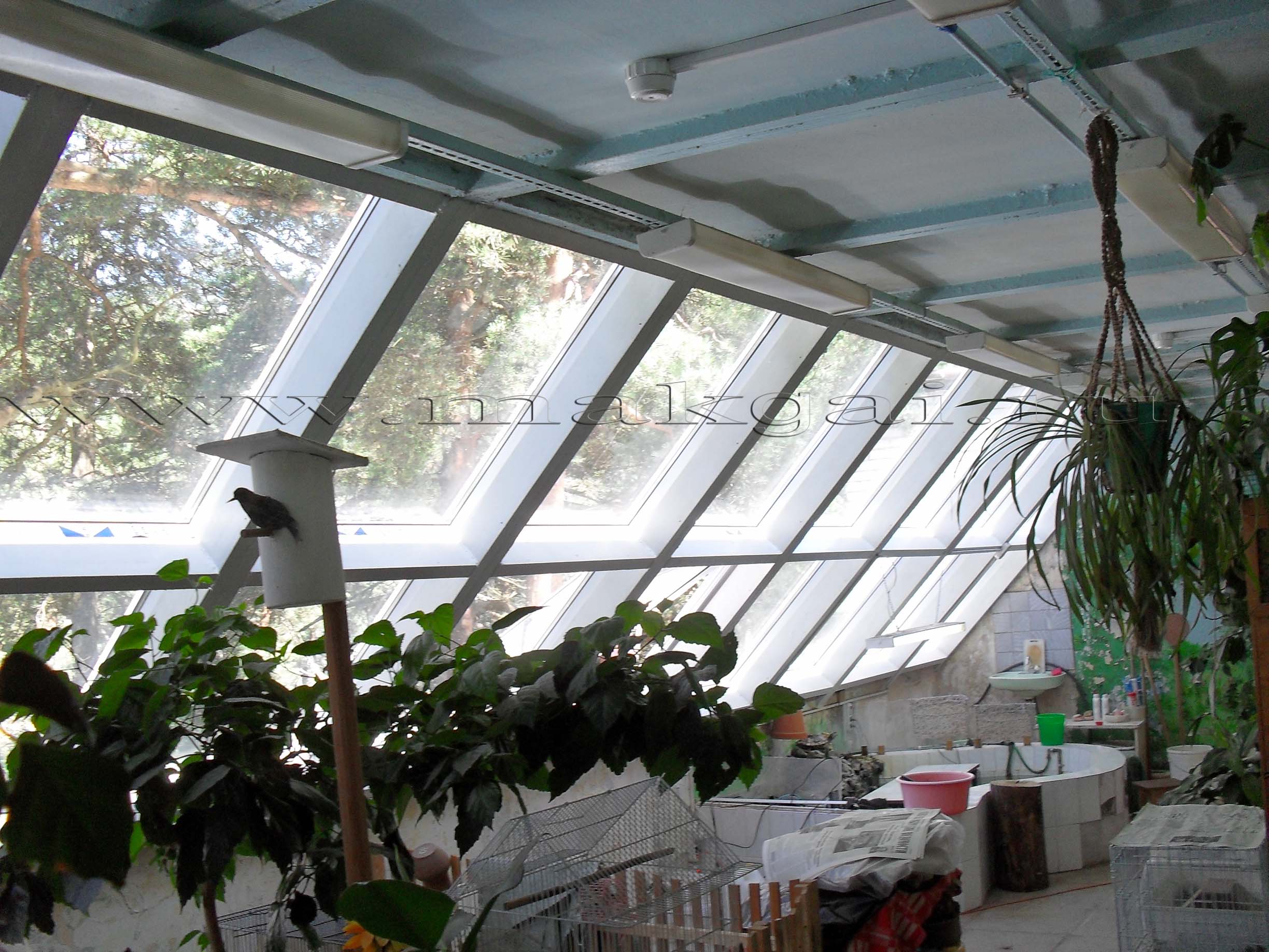 Конструкция зимнего сада, пристроенного к дому, остекление крыши зимнего сада-пристройки | houzz россия