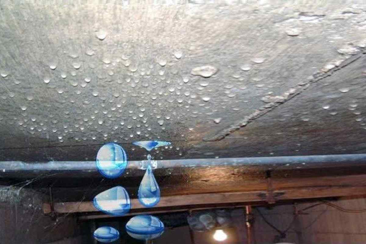 Как устранить конденсат и сырость в подвале или погребе