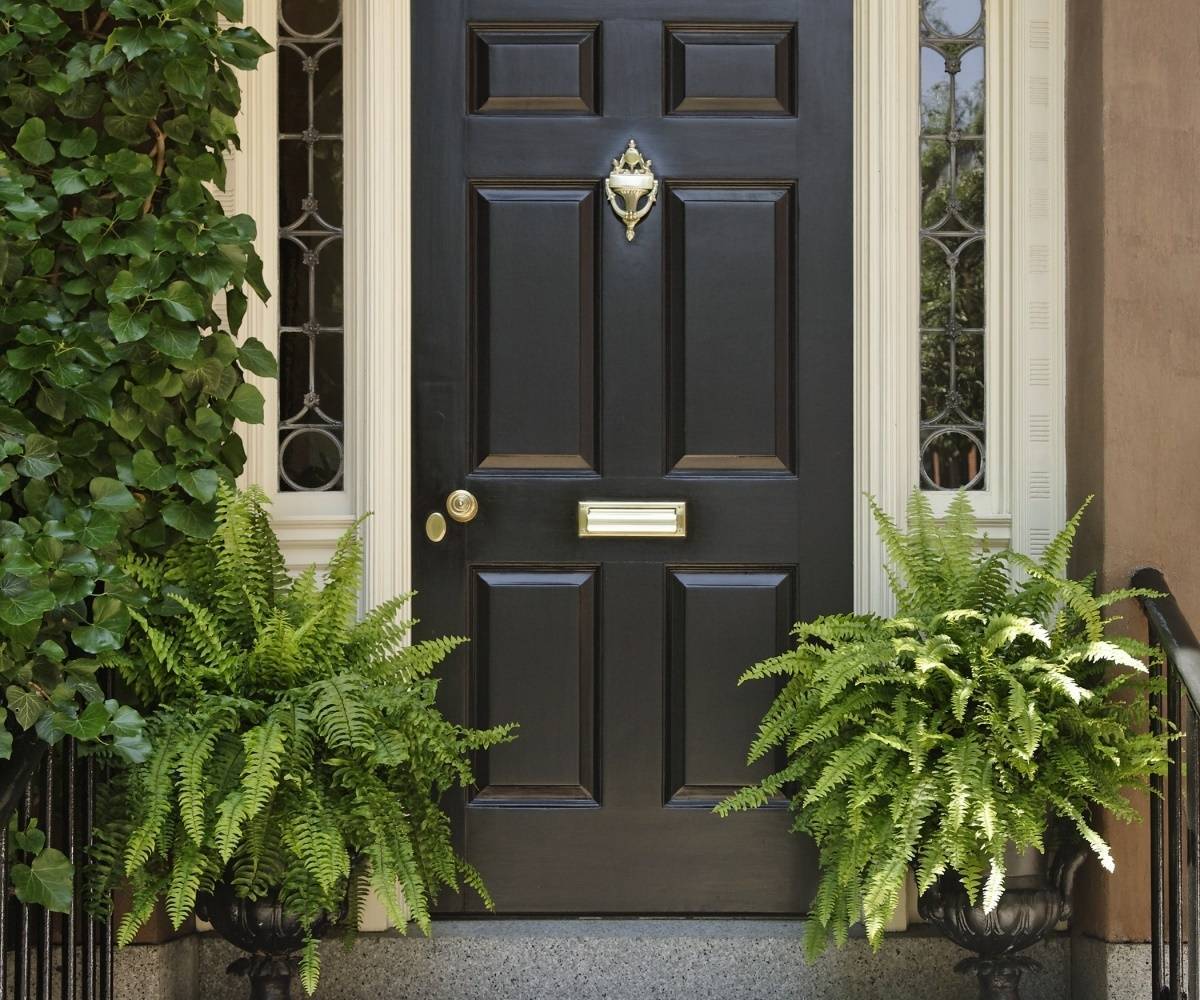 Как выбрать входные двери для частного дома: советы профессионалов
