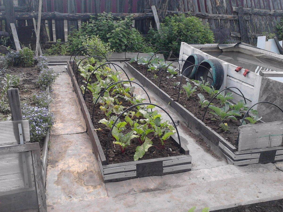 Что сделать на даче из остатков линолеума: 5 идей для вашего сада