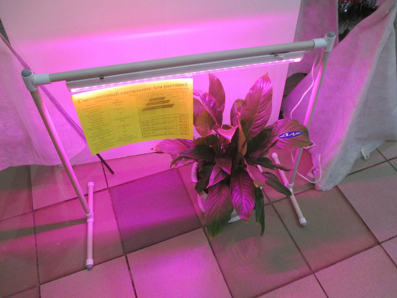 Правильная фитолампа — выбираем осветительный прибор для досветки растений. технические характеристики. фото — ботаничка.ru