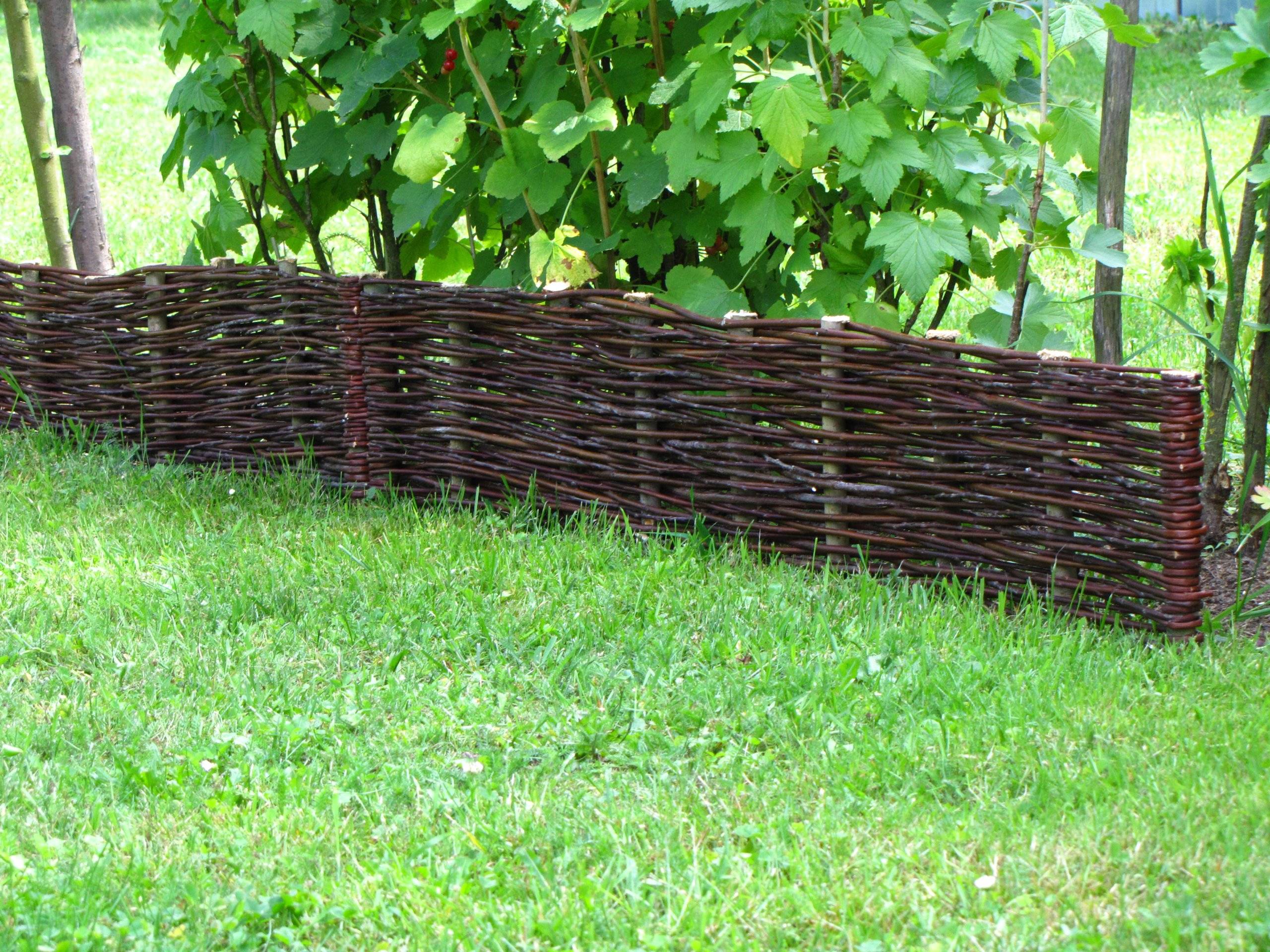 Плетёный забор: австрийская плетёнка своими руками