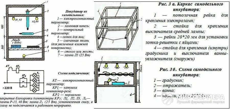 Как сделать инкубатор для яиц в домашних условиях