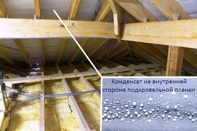 Как правильно утеплить крышу, чтобы не образовывался конденсат?