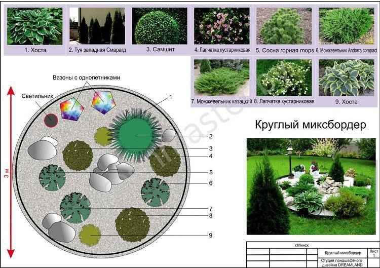 Простые схемы с фото миксбордеров из многолетников - журнал садовода ryazanameli.ru
