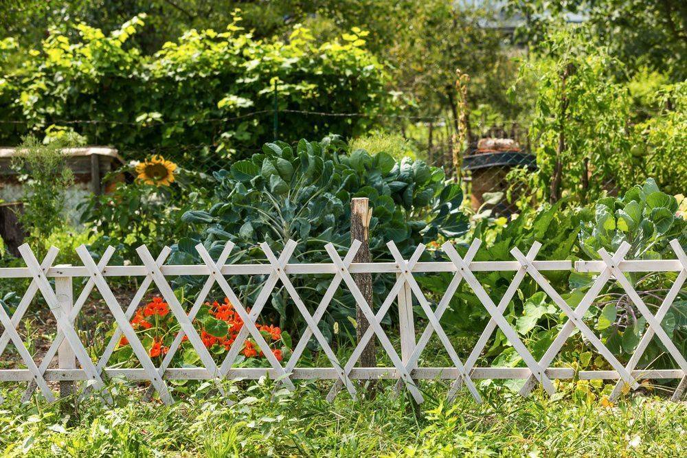 Деревянный забор своими руками: 95 фото лучших идей сборки и установки