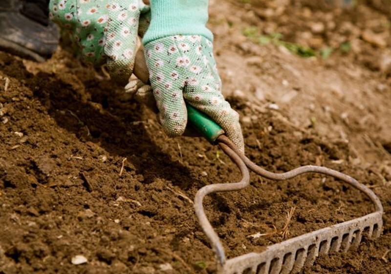 Известкование почвы: определение кислотности грунта, нормы внесения извести, оптимальные сроки, технология процесса