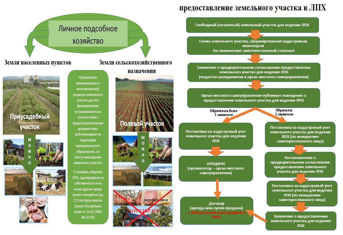 Земли сельхозназначения для садоводства: особенности ведения хозяйства .