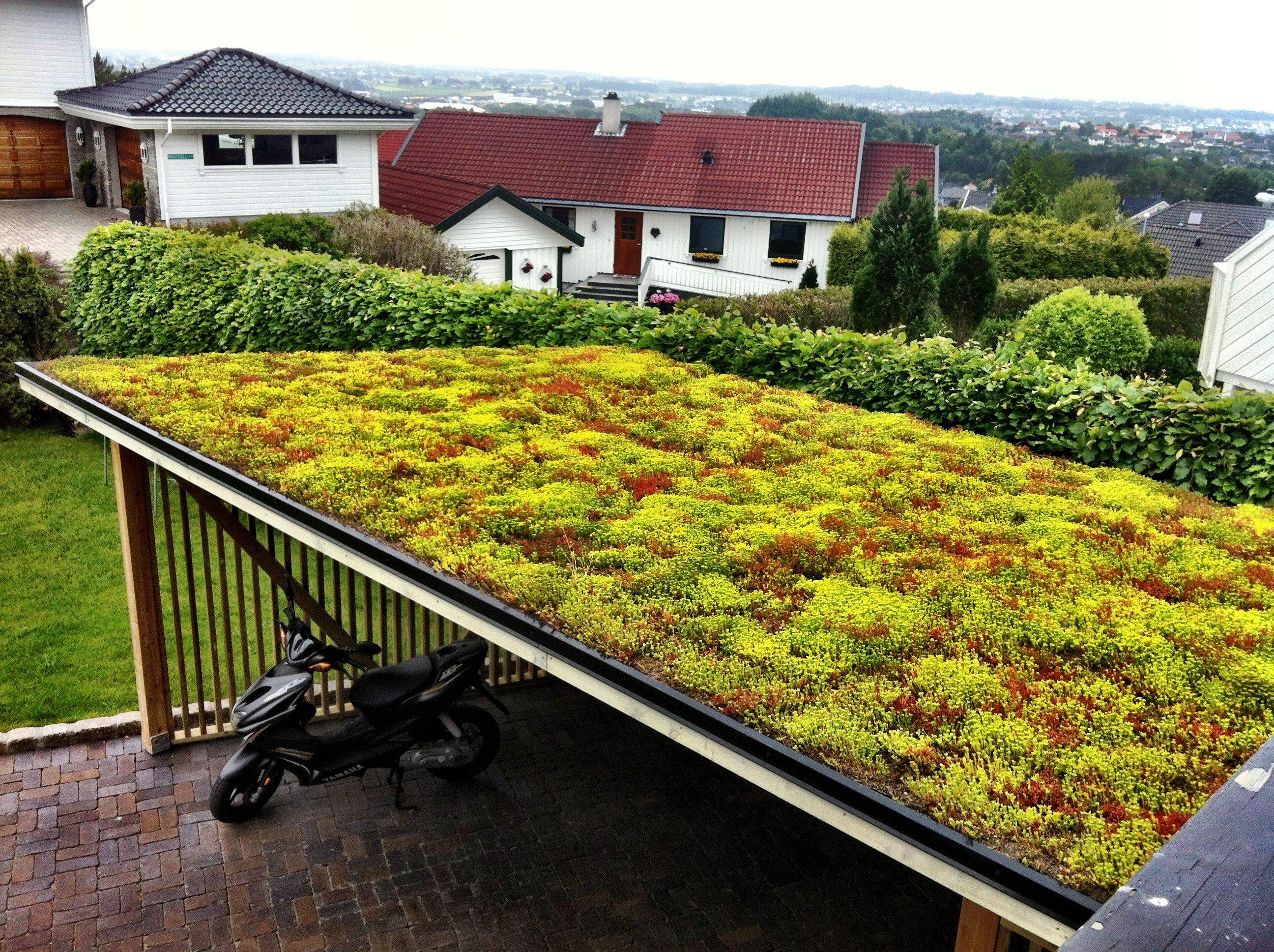 Зеленая крыша своими руками –  хороший способ увеличить площадь участка