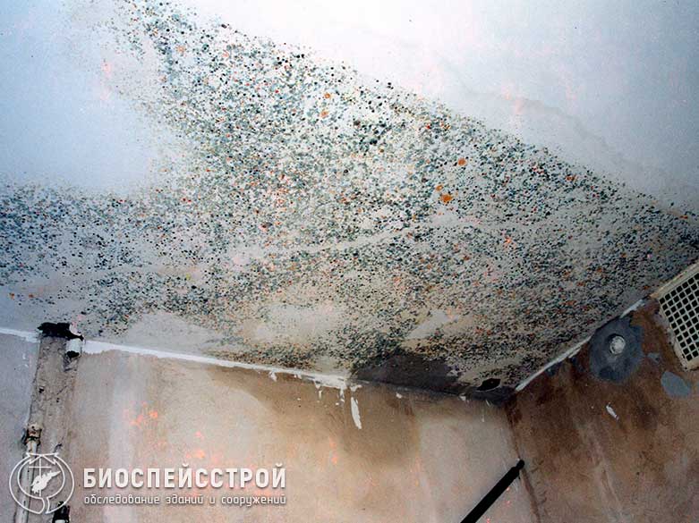 Как избавиться от воды в подвале: самые надежные методы и материалы