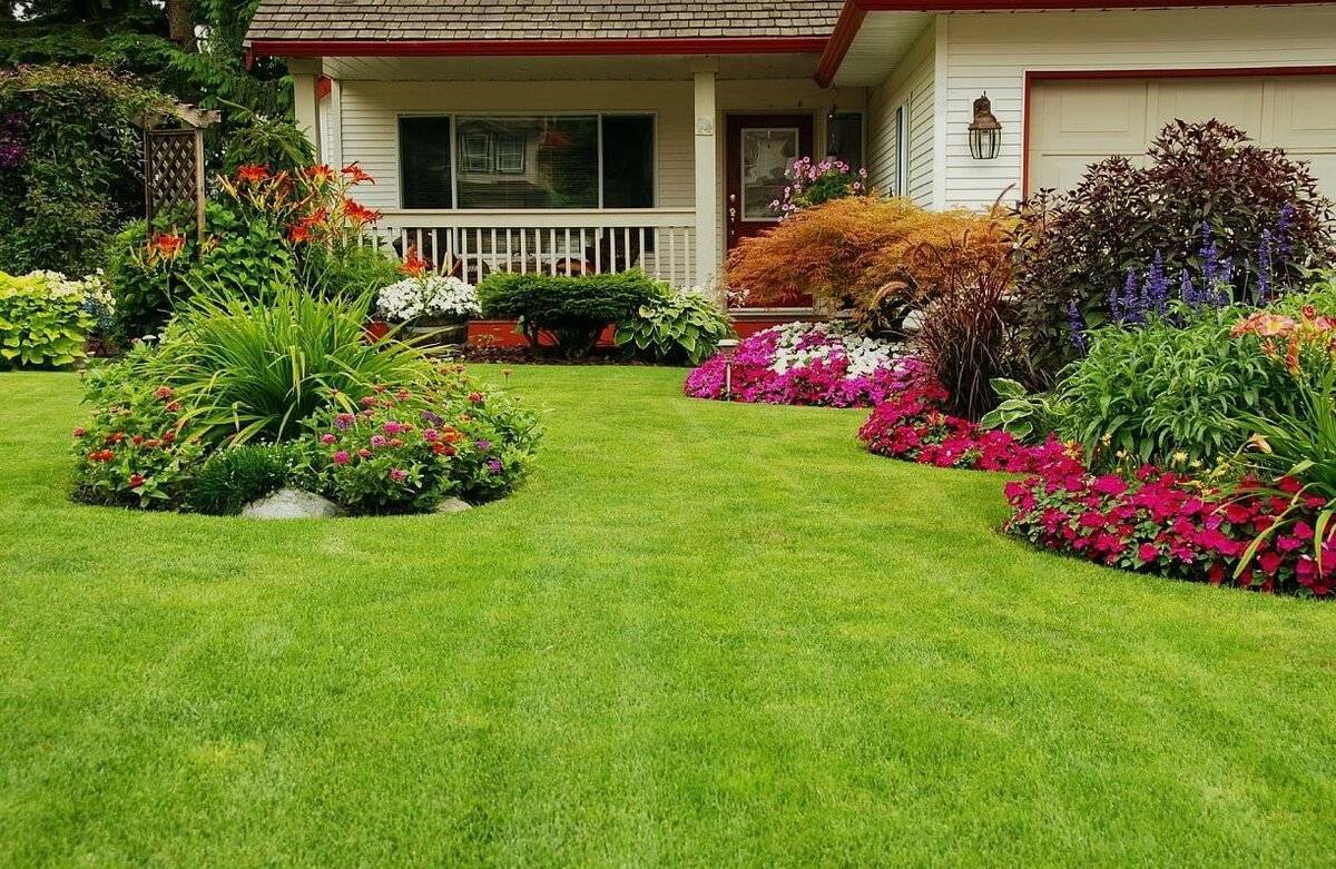 Как оформить лужайку перед домом – создаем зеленую площадку с цветниками и клумбами