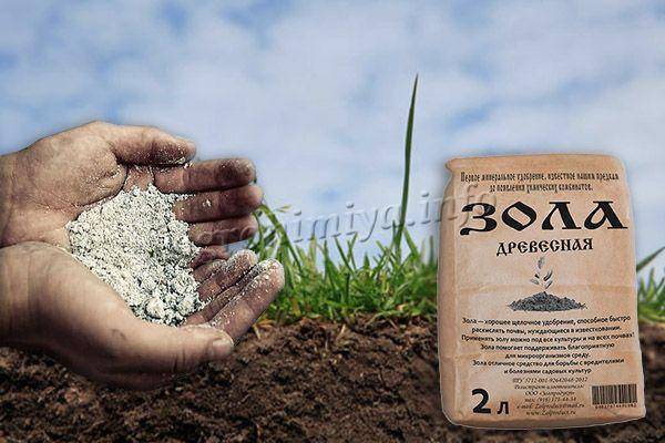 Известкование почвы:что это, нормы, правила, виды удобрений