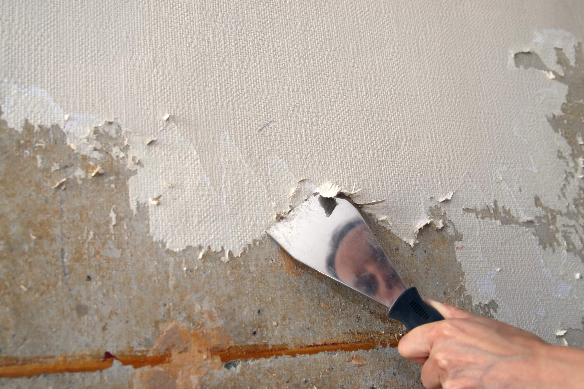 Финишная шпаклевка стен под покраску: что это такое, разновидности, порядок работы и подготовка поверхности