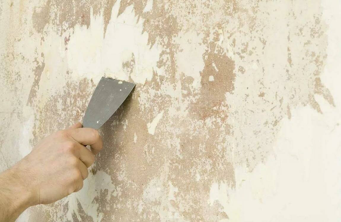 Как подготовить стены к поклейке обоев? обработка стен перед поклейкой обоев :: syl.ru