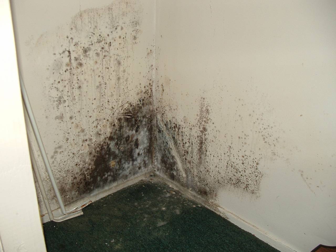 Чем отделывают стены при повышенной влажности в квартире на первом этаже