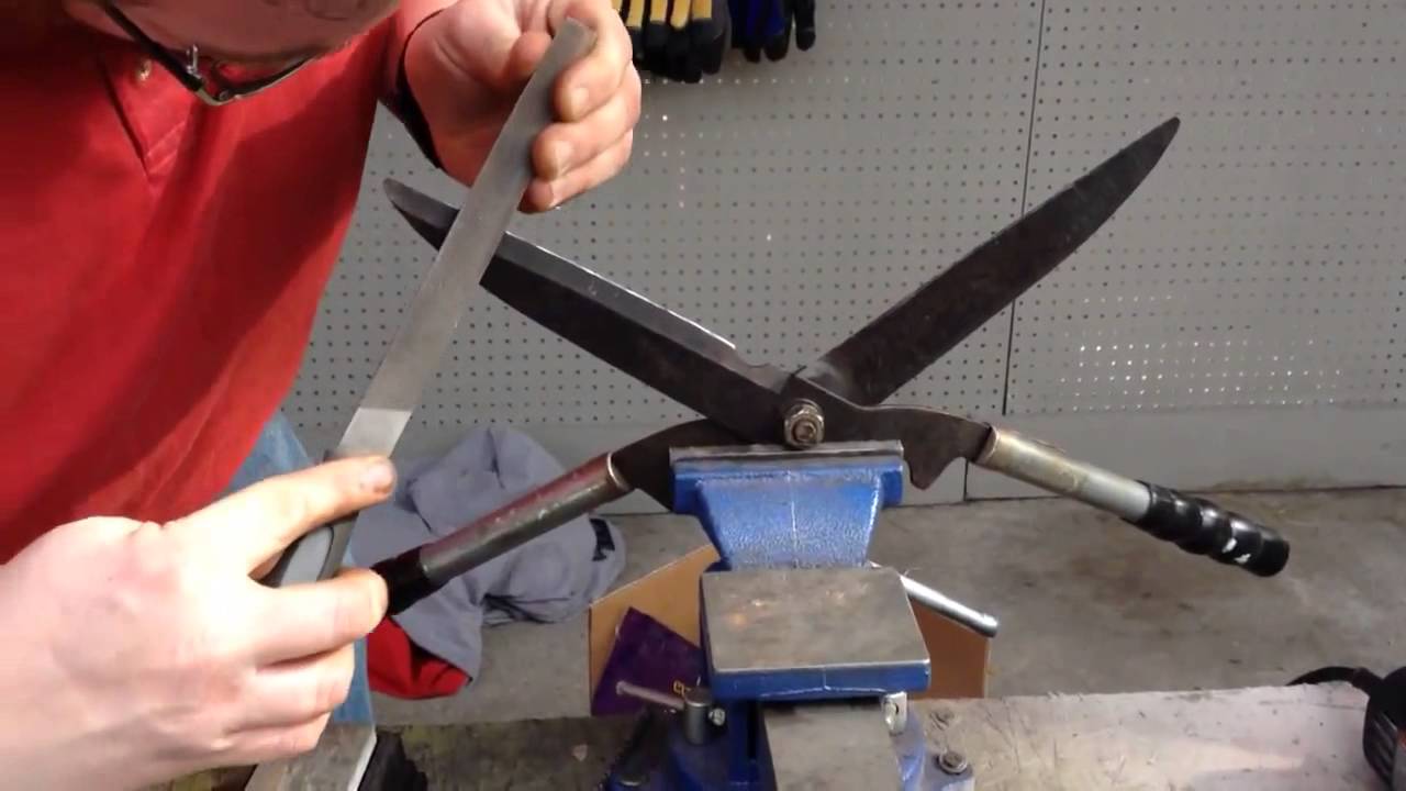 Как за несколько секунд сделать ножницы острыми