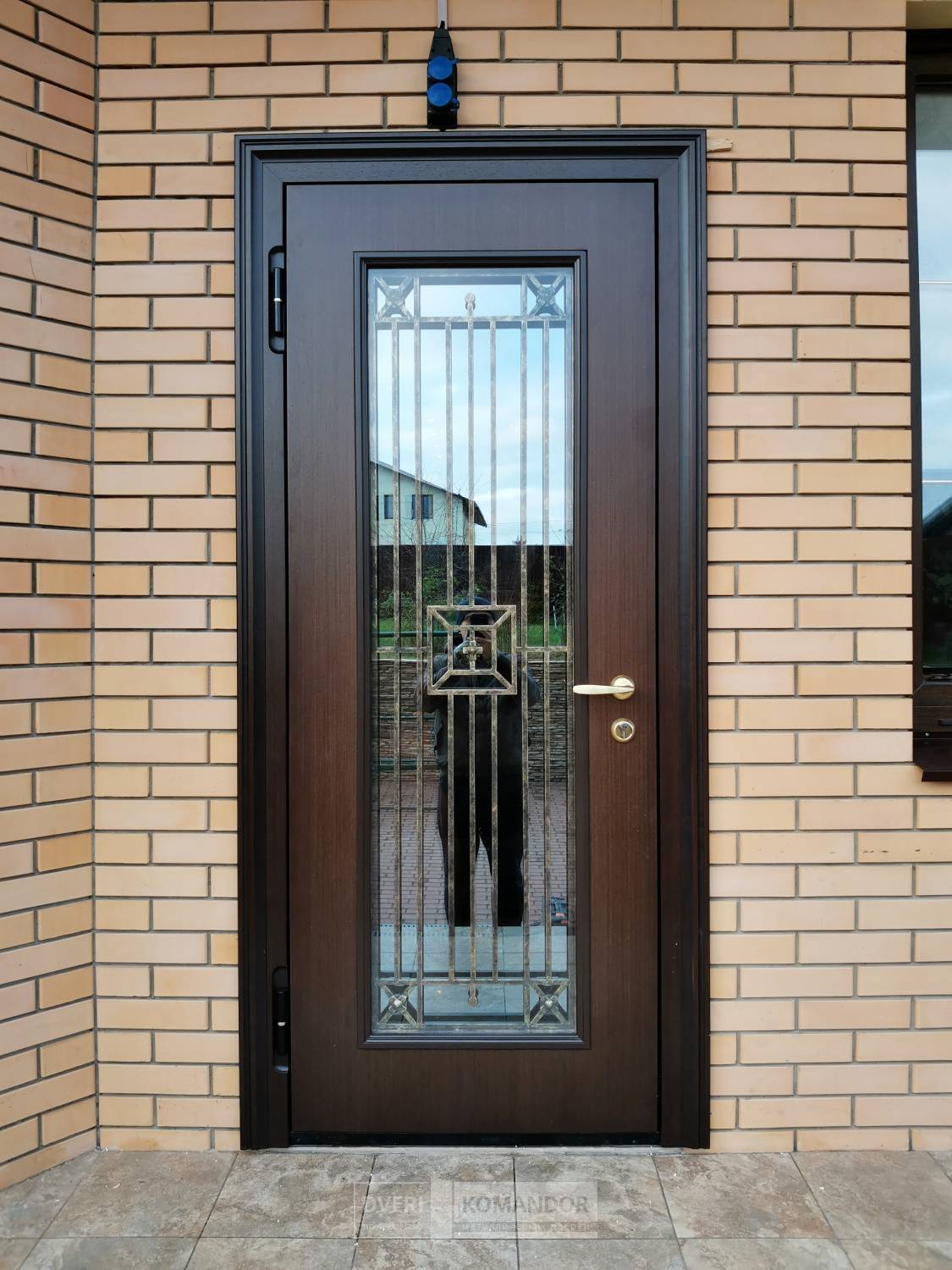 Плюсы и минусы стеклянных входных дверей
