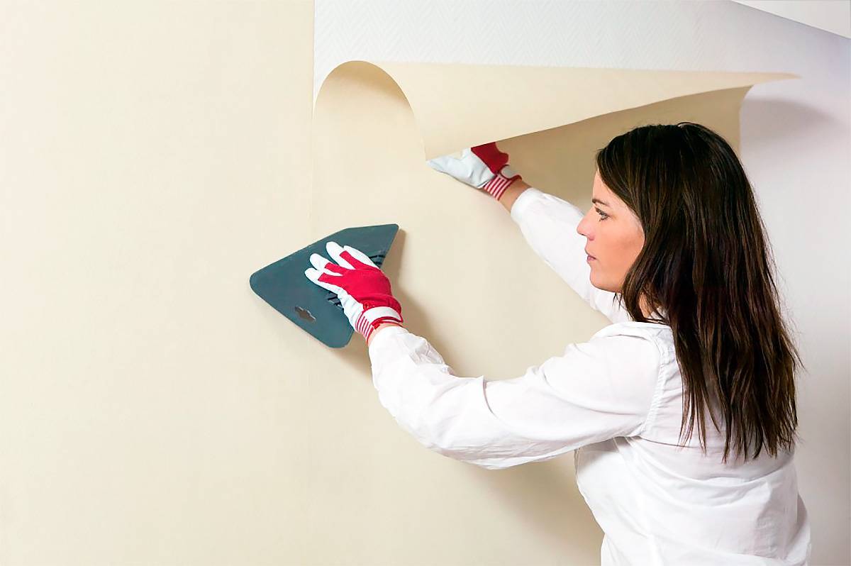Покраска обоев своими руками: инструкция для стен и потолка