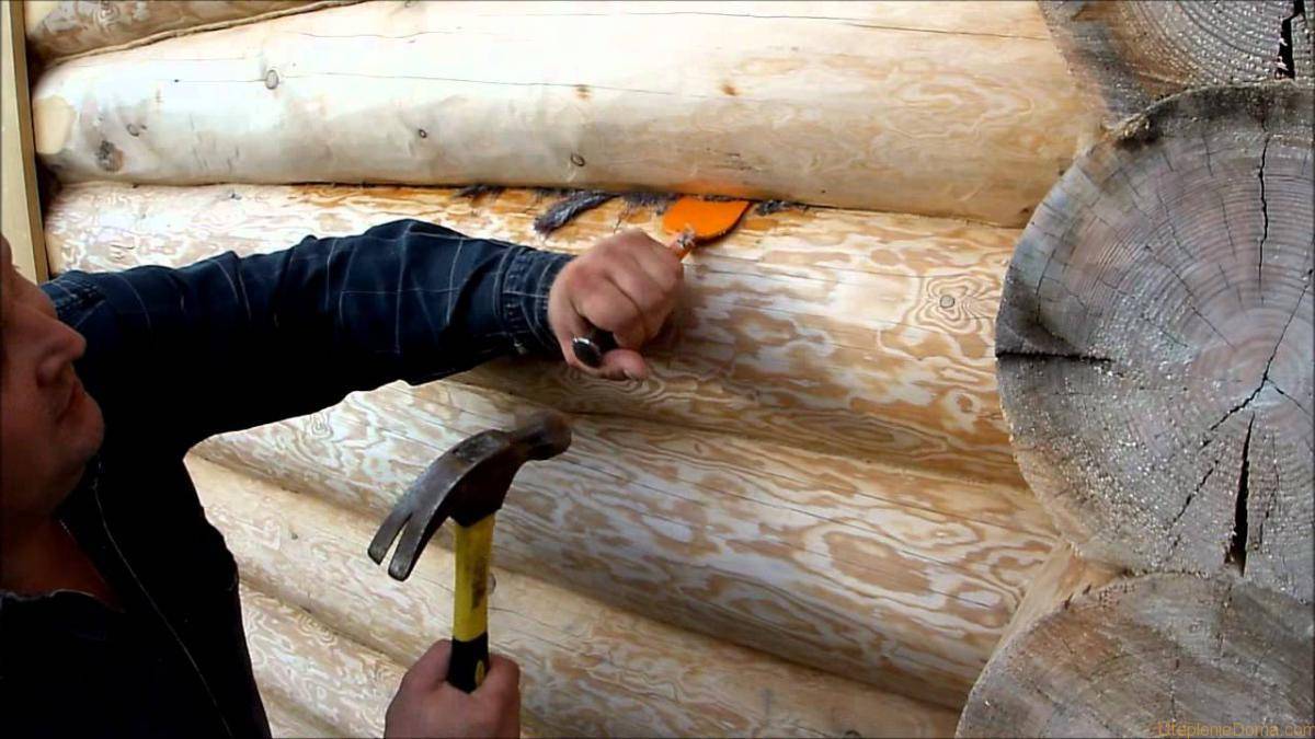 Обработка бревен: как и чем можно защитить стены внутри и снаружи дома .
